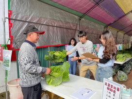 嘉縣仁和高麗菜節圓滿達陣！1顆6千落槌成功拍賣