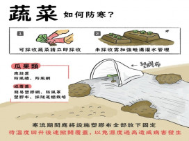 雲林縣府提醒寒流來襲　農漁牧養殖業防範寒害