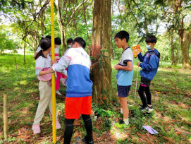 鼓勵學子走入山林「森」呼吸　東眼山114年戶外教學車資補助開放申請