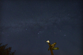 台江國家公園  ｢黑琵與星空」賞鳥觀星活動