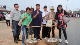 金門金寧鄉石蚵文化季-美食管夠!獨家市集×宣導攤位報名開跑