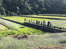 跟著三貓探索人與自然的關係　林保署新竹分署邀您一同「走進里山趣」！