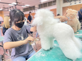 中華醫大寵護系攜手產官學全台最大戶外寵物主題市集-搖尾草狗狗派對