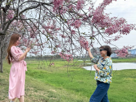 中華醫大師生開心迎後花園 仁德滯洪池旁花旗木步道賞花正對時