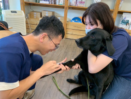 國際搜救犬日　竹市消防局準備營養品與玩具感謝搜救犬辛勤付出
