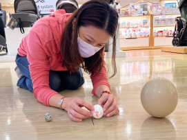 端午節、環境日、海洋日　桃園遠百寓教於樂親子系列活動邀大小朋友同慶