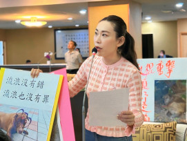 為受虐浪浪申冤 台南市議員曾之婕要求嚴辦