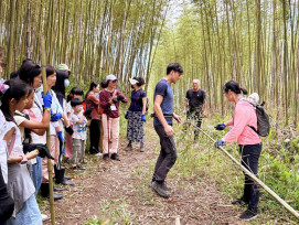 暑假前親子共遊好去處！　林保署新竹分署東眼山森林活動等你來探索
