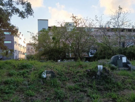 南山公墓更新發展促進會：盼市府加速規劃，回應在地期待