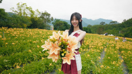 「花現台七」繡球金針花盛開　「桃園好農」代言人嘎琳力推農遊趣！