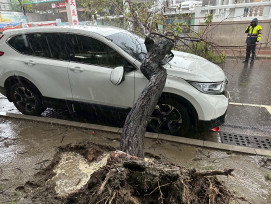 西南風南部劇降雨致路樹倒塌！南警交管確保安全