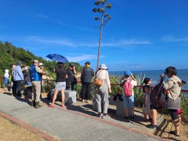 浪花間的住民：金門鯨豚生態與陸地觀察初探講座6/7登場