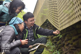 結合知識與實境的霧林解謎之旅　專家帶路走讀講座走進蕨美觀霧世界