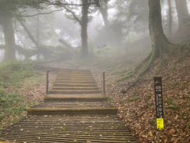 支持林保署新竹分署永續山林管理　善心企業捐贈雙向人流計數器