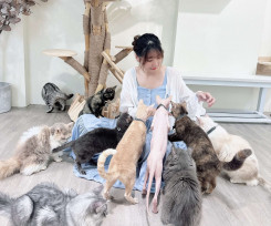 捷絲旅台南虎山館推「撸貓假期」 萌寵陪玩享療癒時光