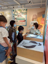 暑假親子去哪？台江國家公園生態體驗活動等你報名
