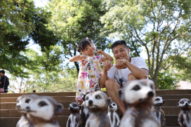 歡慶六福村46週年　限時三天8/8-8/10爸爸免費、親友同行優惠價