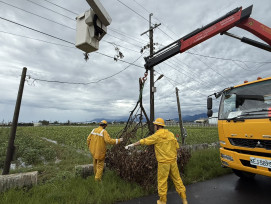 楊柳造成新營轄區停電累積逾2萬戶 台電：積極搶修 