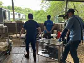 竹縣府查獲犬隻飼養不當案件　飼主涉及違反多項動保法規定依法嚴懲