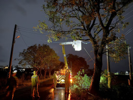 楊柳造成臺南停電破6萬戶  台電新營區：全力搶修復電逾99.5％