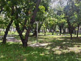 完成清理行道樹公園傾倒樹木  恢復市容