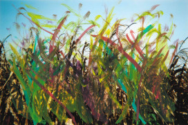 「in臺南.無影藏」影像競賽入圍出爐！邀您當評審票選影展