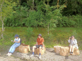 拉拉山國家森林遊樂區倒伏巨木重生　「雲朵木椅」溫柔撫慰遊客身心