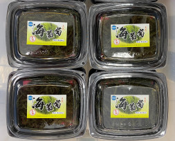 金門水試所養殖海葡萄收穫有成 即日登記販售