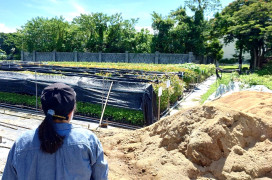 咔噹咔噹到竹東　竹東林業探索展系列活動9/27來去苗圃探險學造林！