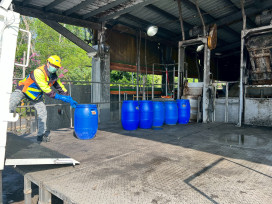 防堵本土非洲豬瘟擴散！南市府籲惜食減廢守住防線