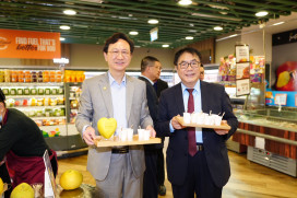 台南文旦登陸新加坡 颱風後餘果依舊搶手 台南市長黃偉哲親赴推廣