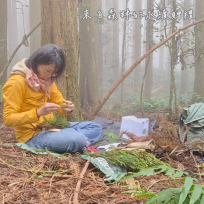 森態永續 x 療癒手作　「森命之圈—大人の林場散策」帶你手編永續花圈