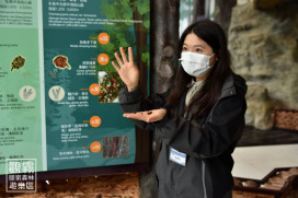 收藏一片秋日色彩　林保署新竹分署推觀霧特色導覽與手作體驗活動