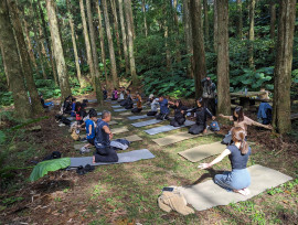 走進森林，聆聽森命的樂章！　東眼山「癒見森林」專屬成人療癒趣