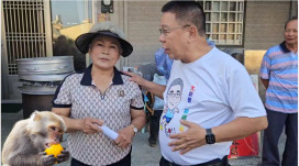 滿山滿谷野猴肆虐 農作物遭殃　農民怒喊：欲哭無淚！