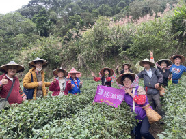 以多重感官體驗茶文化　坪林茶博館「茶山手語導覽一日遊」12/14、12/21登場