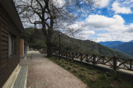 林保署新竹分署轄內森林遊樂區及烏來台車　自11/14日14時起休園及停駛