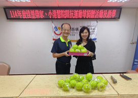 佳里榮家感謝小港醫捐贈阻抗運動球 強化住民照護品質
