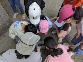 「台江好潮」，一起探索台江潮間帶！