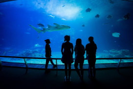 屏東海生館BOT榮獲教育部海洋教育推手獎 打造全民海洋學習場域