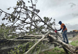 鳳凰颱風來勢洶洶　竹市應變中心開設二級並提醒市民做好防災整備