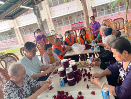 屏東榮家洛神饗宴 住民體驗田園採摘樂