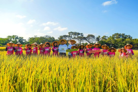 桃園首所「永久綠旗」學校誕生！　黑松教育基金會陪伴社子國小再創環教里程碑
