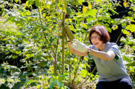 企業慶二十週年 攜手中興大學啟動「Green Filter 綠境計畫」