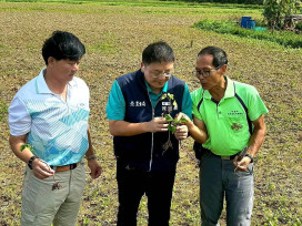 綠色環境獎勵補貼開放申報　桃園市農業局加碼補助最高4.5萬獎勵金