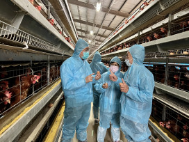 全力防堵禽流感　桃園市農業局加強8大防護網嚴陣以待