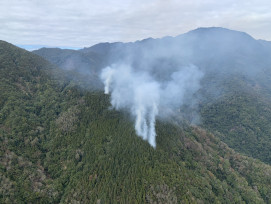 公私協力迅速撲滅高山森林火災　林保署新竹分署呼籲乾季入山防火