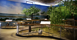 台江國家公園遊客中心常設展推AI語音導覽服務