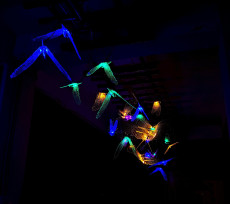 成大創產所策劃《龍崎燈光裝置藝術》重新詮釋人與自然共生關係