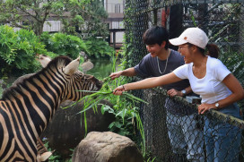 姓馬的看過來！ 　關西六福莊推出「馬的優惠」馬年限定優惠活動